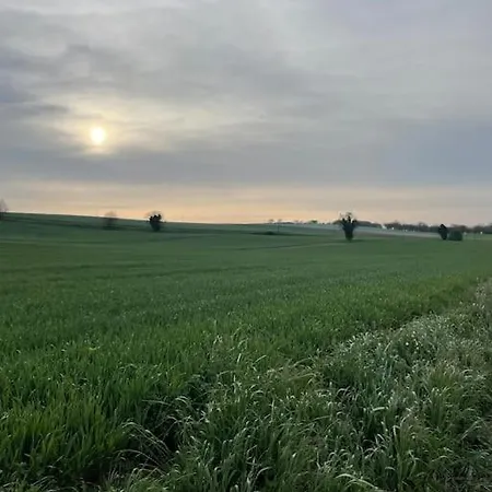 Beautiful Charente With Swimming Pool Vakantiehuis Marcillac-Lanville