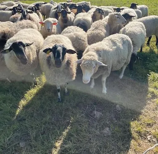 Beautiful Charente With Swimming Pool Сasa de vacaciones *